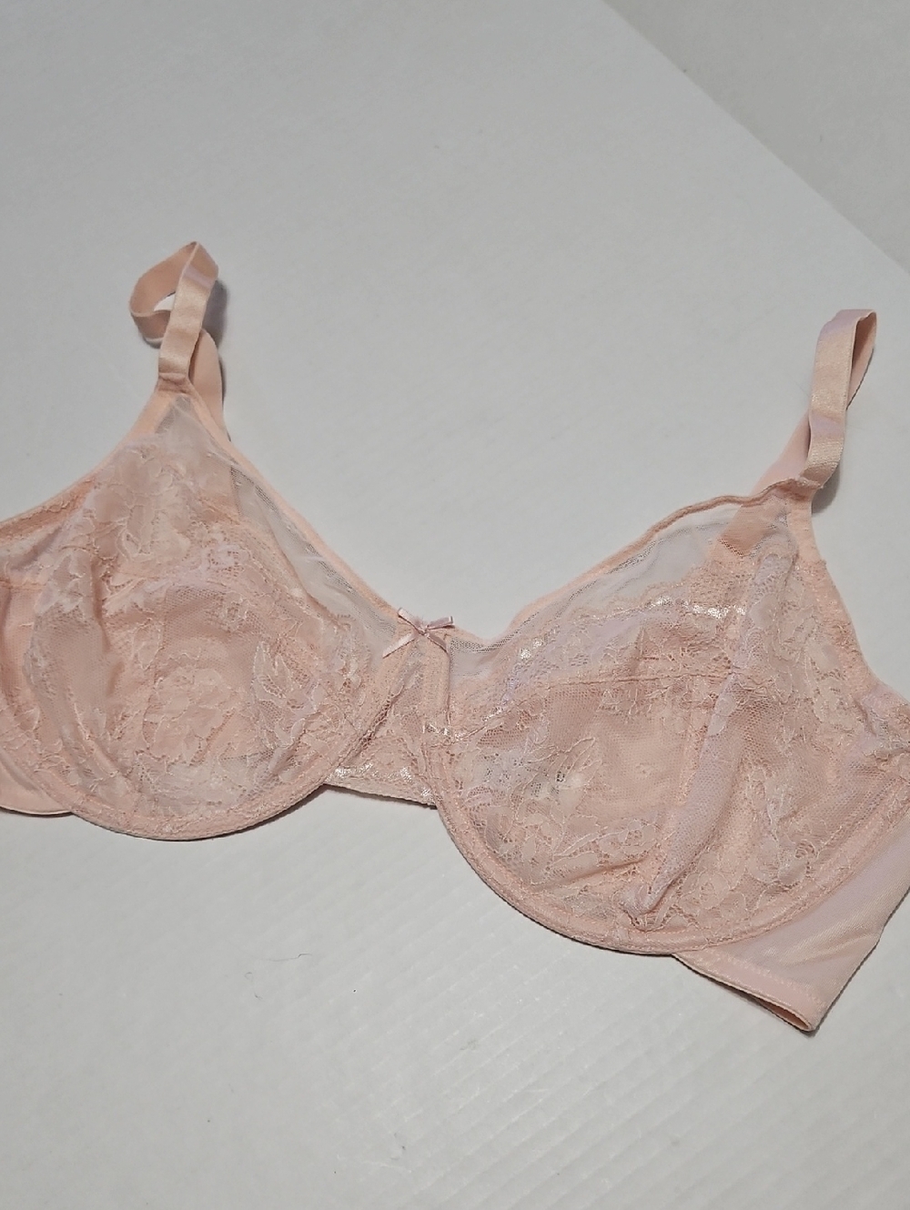Sheer Lace Underwire Bra in Blush Pink Size 44DD